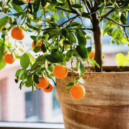 Berglust Bed & Breakfast Rotterdam